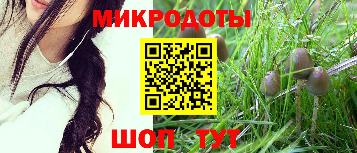 Галлюциногенные грибы мухоморы Мичуринск