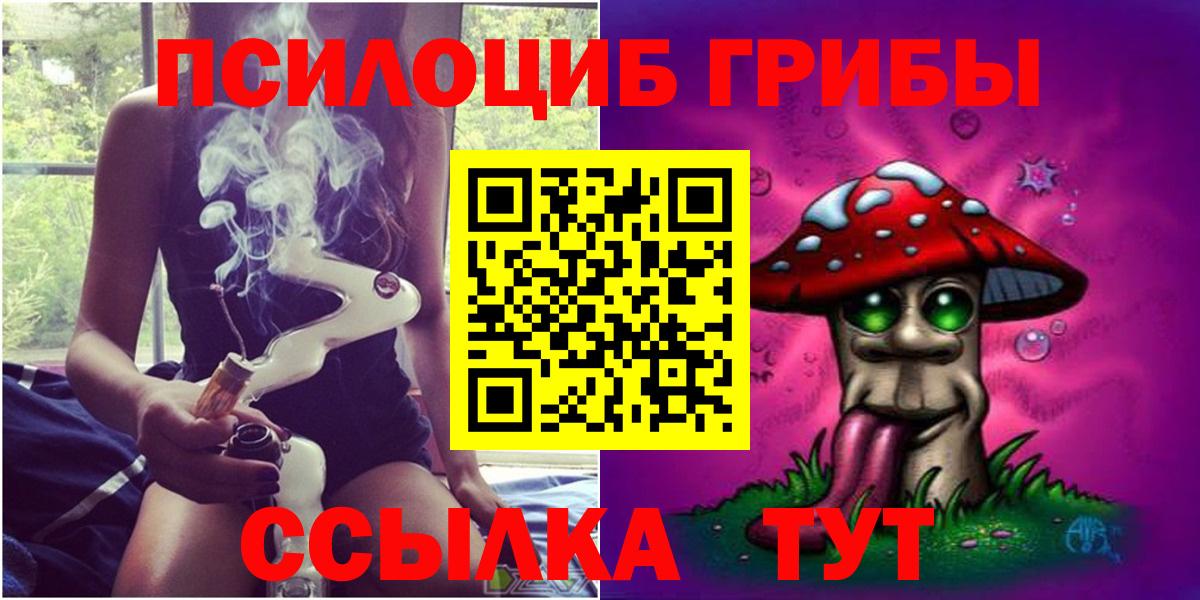 Мичуринск  Псилоцибиновые грибы GOLDEN TEACHER  Псилоцибиновые грибы прущие грибы  Вход с VPN 